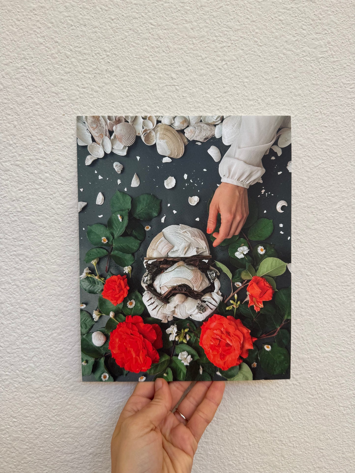 Shelltrooper | 8" x 10" Fine Art Print