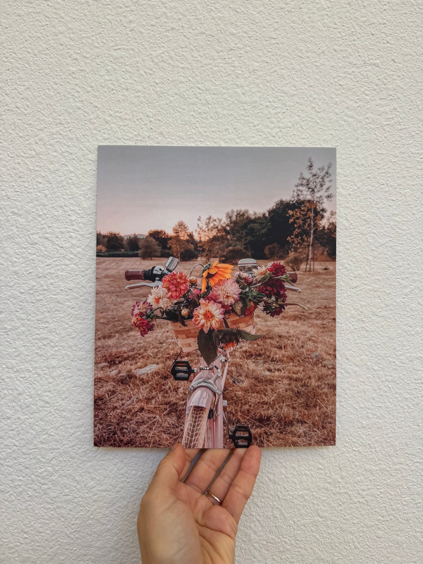 Harvest Pedals | 8" x 10" Fine Art Print
