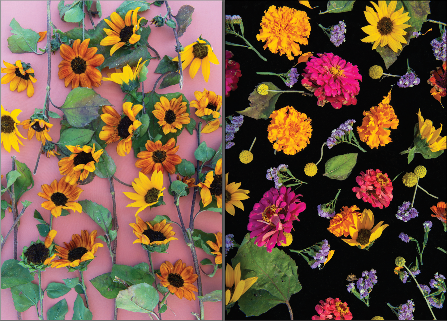 Floral, Double Sided Wrapping Paper — The Forest Feast Collaboration