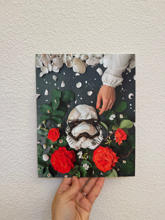 Shelltrooper |  8" x 10" Fine Art Print