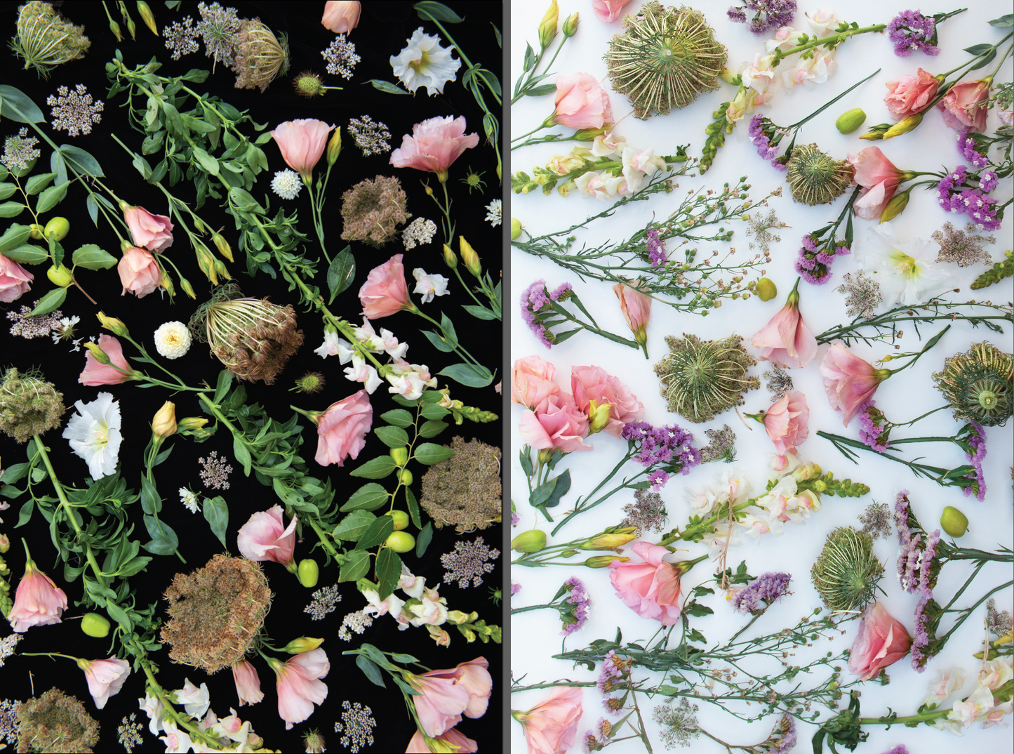 Floral, Double Sided Wrapping Paper — The Forest Feast Collaboration